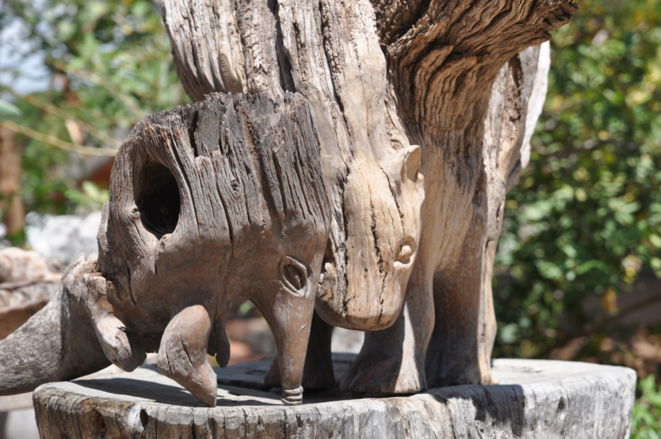 Tikoloshe Afrika Galerie — Wurzelschnitzereien und Kunsthandwerk in Omaruru