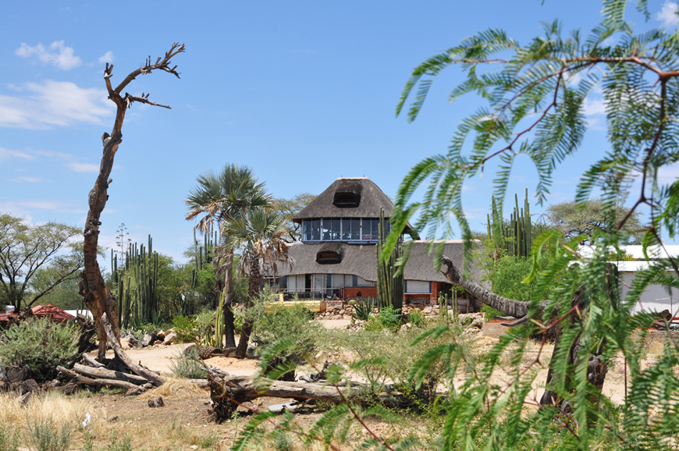 Tikoloshe Afrika Galerie — Wurzelschnitzereien und Kunsthandwerk in Omaruru