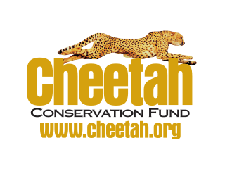Cheetah Conservation