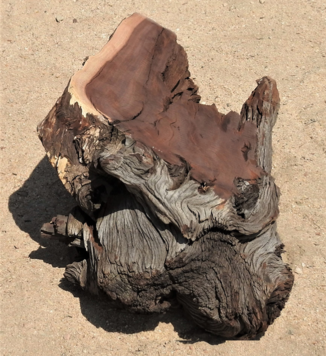 Mopane wood