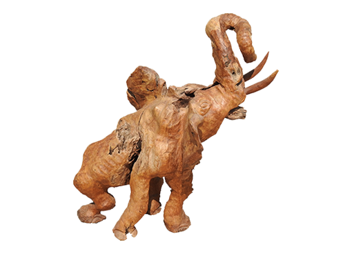 Prosopis-Baum carving