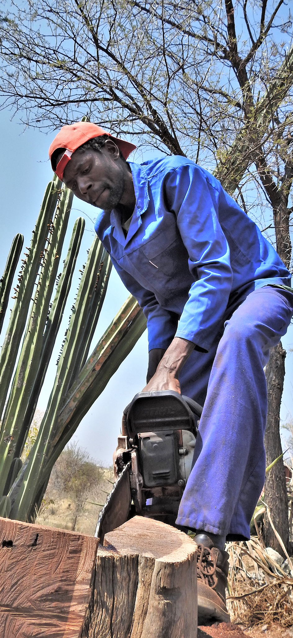 Tikoloshe-afrika-wood-artist