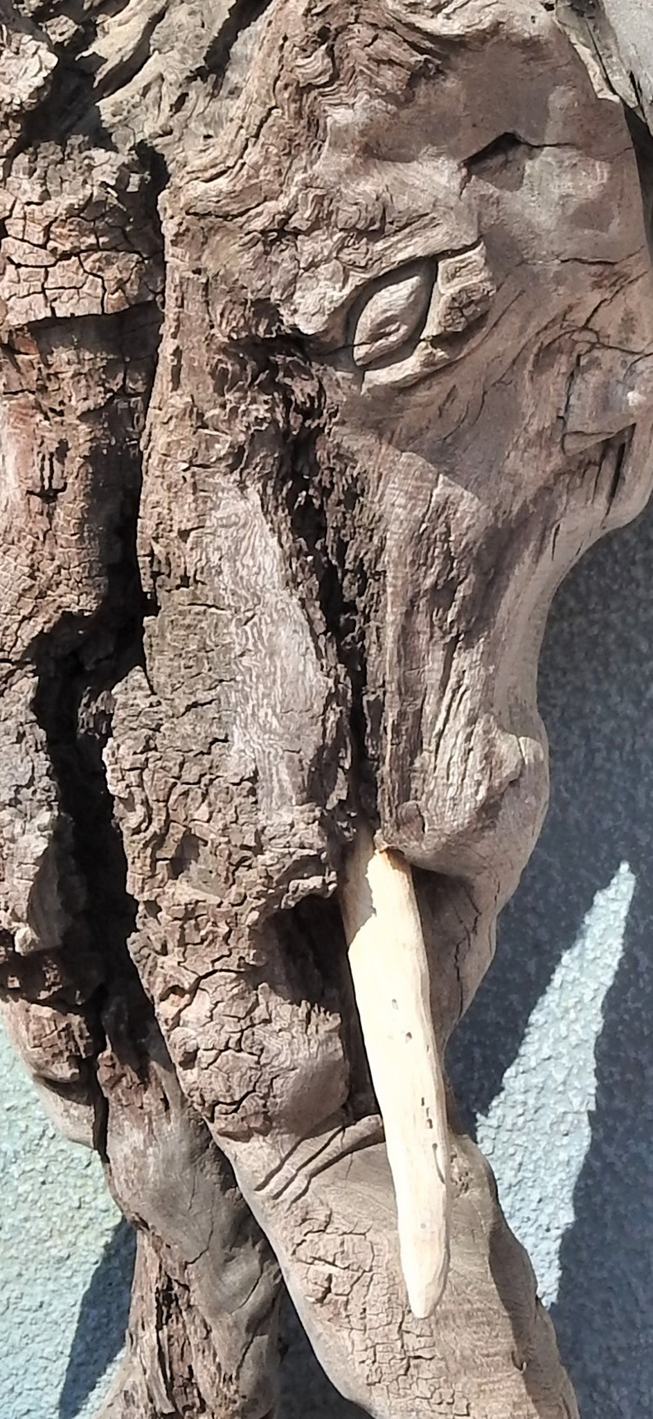 Tikoloshe-afrika-wood-root-carving